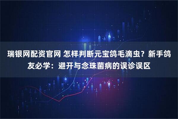 瑞银网配资官网 怎样判断元宝鸽毛滴虫?新手鸽友必学:避开与念珠菌病的误诊误区